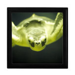 Sea Turtle Gift Box gift boxes