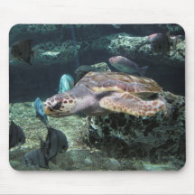 Sea Turtle Mouse Pads