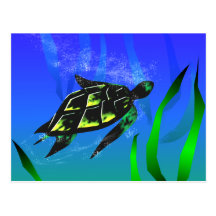 Sea Turtle Post Card