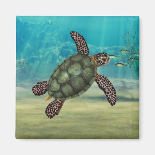 Sea Turtle Square Magnet