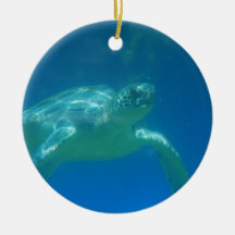 Sea Turtle Swim  Ornament