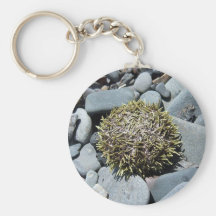 Sea Urchin 1 Key Chain
