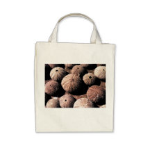 Sea Urchin bag