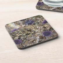 Sea Urchin Drink Coaster