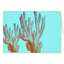 SEA URCHIN GREETING CARDS