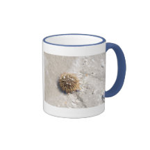 Sea Urchin in the Surf Coffee Mugs