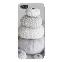 Sea urchins  iphone iPhone 5 covers