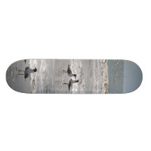 Seagull Beach Skateboard