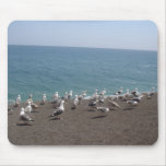 seagull convention mouse pads