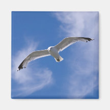 Seagull Fridge Magnet