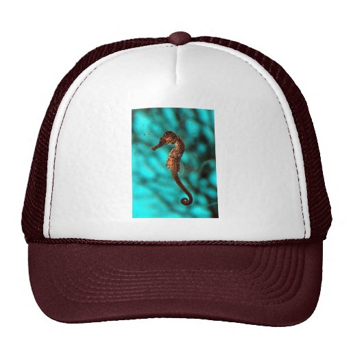Seahorse Hat