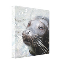 Seal Canvas Print