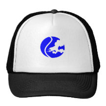 seal sweet spot 1.png mesh hat