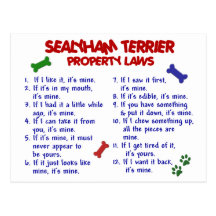SEALYHAM TERRIER Property Laws 2 Postcard