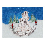 Sealyham Terrier Winter Postcards