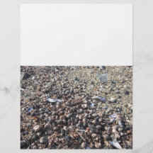 Seashell Beach Ocean Boarder Book of Shadow pages Flyer