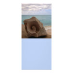 Seashell Beach Paradise Rack Card