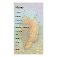 SEASHELL Business Card