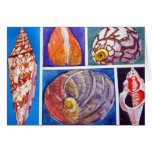 Seashell collage card