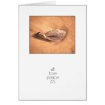 Seashell Love Peace Joy Beach Christmas Greeting Card