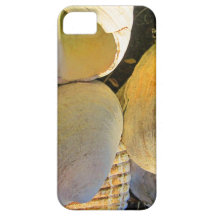 Seashells at the Beach iPhone 5 Cases