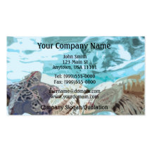 Seashells Business Card