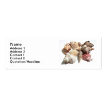 Seashells skinny business cards
