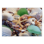 Seashells Starfish & Beach Glass Greeting Card