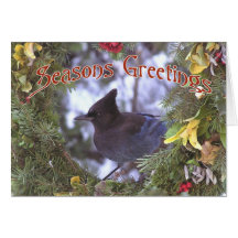 Seasonal Greetings Greeting Card
