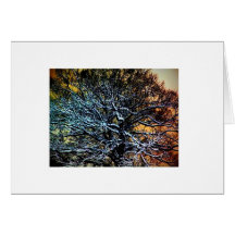 seasonal sharing greeting cards