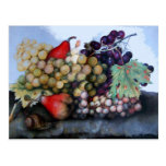 SEASON'S FRUITS 1 POSTCARD