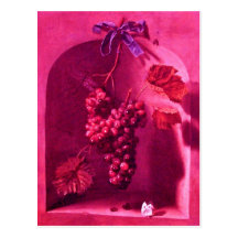 SEASON'S FRUITS PROSPERITY pink fuchsia purple red Postcards