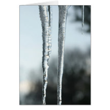 Seasons Greetings Greeting Card