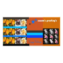 season's greeting's photo cards