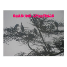 SEASONS GREETINGS POST CARD