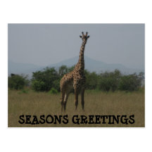 SEASONS GREETINGS POST CARDS