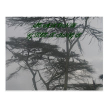 SEASONS GREETINGS POSTCARD