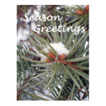 Seasons Greetings- Snowy Evergreen Post Cards