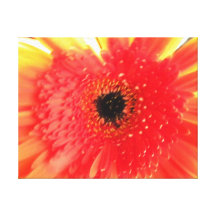 Seattle Flowers Canvas Print