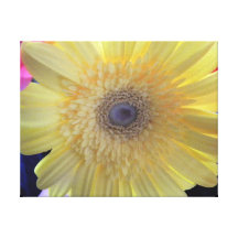 Seattle Flowers Gallery Wrapped Canvas