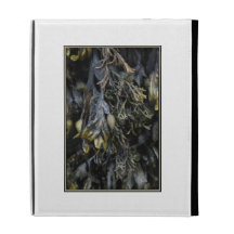 Seaweed. iPad Folio Cases