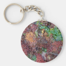 Seaweed keychain
