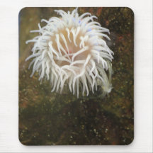 Seaweed Mousepad