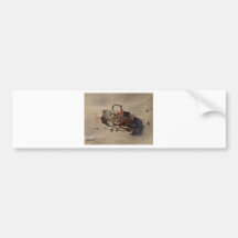 Seaweed Sand Beaches Bumper Stickers