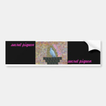 secret pigeon bumper sticker