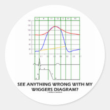 See Anything Wrong With My Wiggers Diagram? Round Stickers