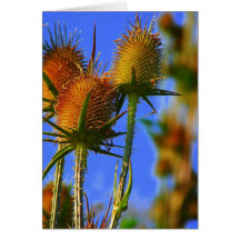 SEE: PODS GREETING CARD