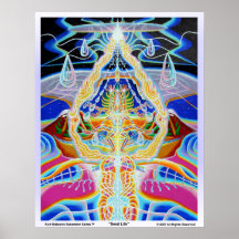 Seed Life Poster