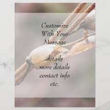 Seed Pod - Nicotiana Personalized Flyer