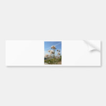 Seeding Plant Bumper Sticker